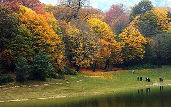 Construction HTML Template